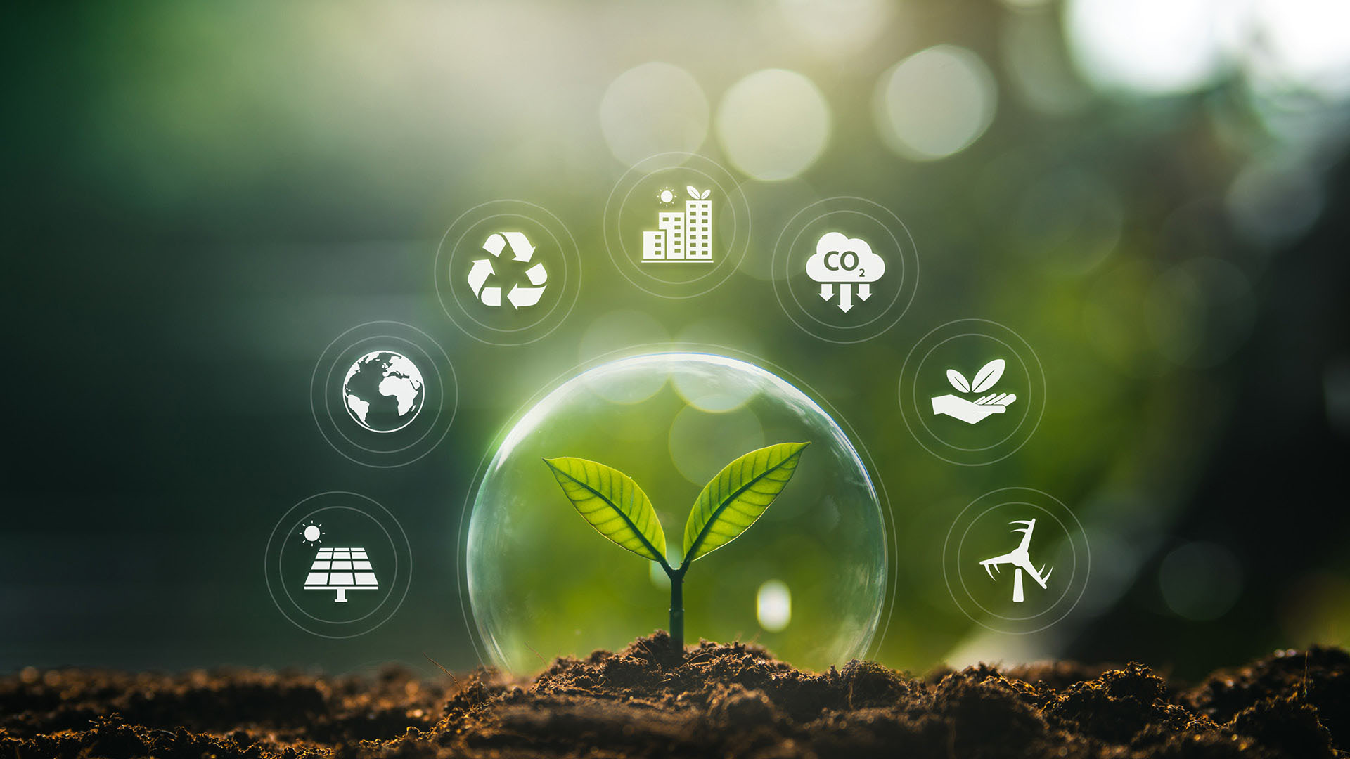 Nachhaltigkeit und Compliance bei audius – Verantwortung für Umwelt und Gesellschaft