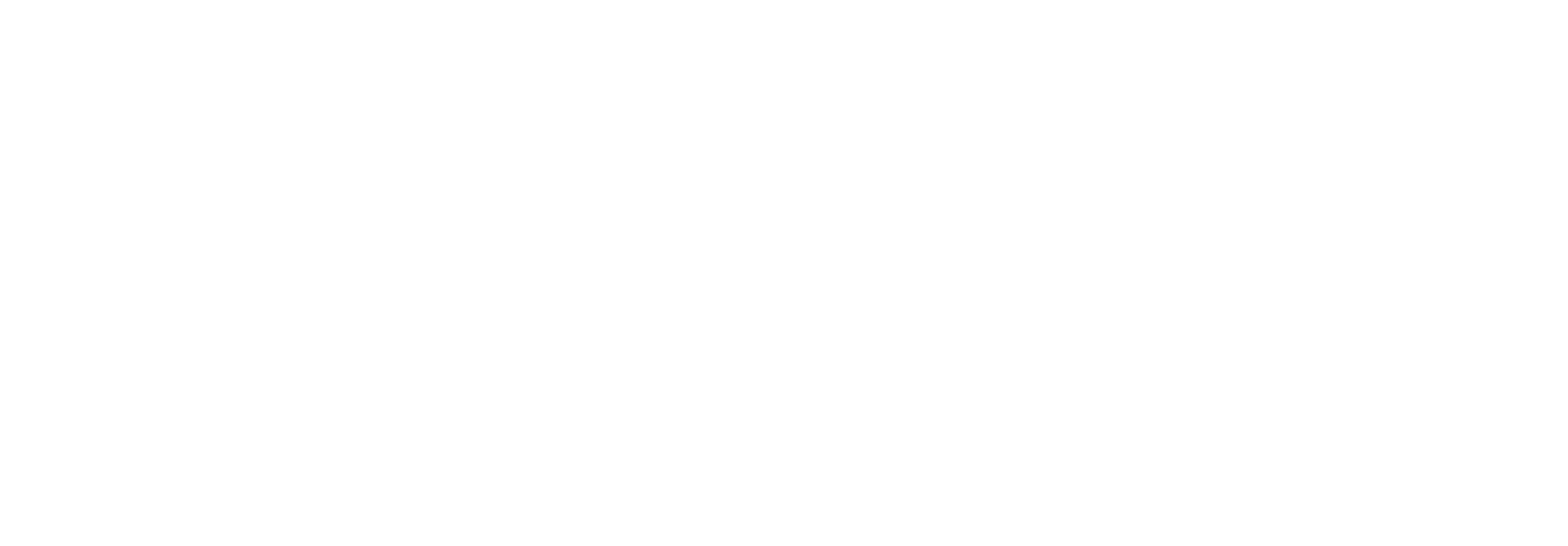 CompuSafe Data Systems AG